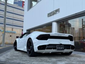 
									Lamborghini Huracan LP580-2 White 2019′ 28DP2 full								