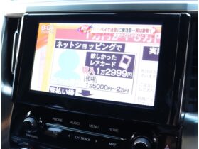 
									TOYOTA Alphard S Type Gold 3 Pearl White 2022′ 40ODH full								