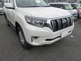 
									TOYOTA Land Cruiser Prado 2.7 TX 5 Person Manufacturer Navigation Pearl White 2023′ 5MW2I full								