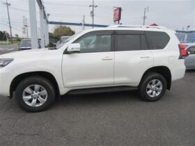 
									TOYOTA Land Cruiser Prado 2.7 TX 5 Person Manufacturer Navigation Pearl White 2023′ 5MW2I full								