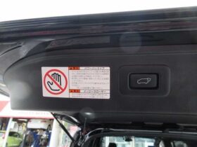 
									TOYOTA Alphard 2.5S “TYPE GOLD 37 people Black 2023′ 6RLZW full								
