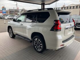 
									TOYOTA Land Cruiser Prado TX LPKG 7-person   Modelista  SR Pearl White 2022′ 6UWZF full								