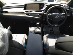 
									Lexus ES F Sport Pearl White 2019′ 6XPCZ full								