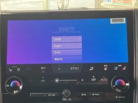 
									TOYOTA Alphard Z Pearl White 2024′ 7TF6J full								