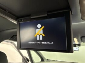 
									TOYOTA Alphard Z Pearl White 2023′ 7WBRY full								