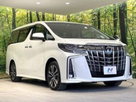 
									TOYOTA Alphard S C Package Pearl White 2022′ 8LXNH full								