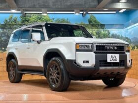 
									TOYOTA Land Cruiser Wagon VX Pearl White 2024′ 95904 full								
