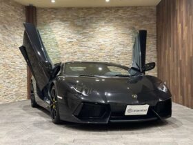 
									Lamborghini Aventador LP700-4 Black 2017′ 962PT full								