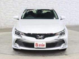 
									TOYOTA MarkX 250G Silver 2016′ 99JR9 full								
