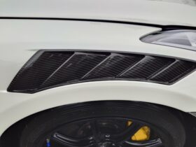 
									NISSAN GT-R Nismo Pearl White 2020′ 9FQ1C full								