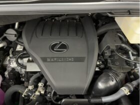 
									Lexus LM Version L Black 2025′ 9FQ4A full								