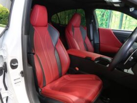 
									Lexus ES F Sport Pearl White 2020′ 9MDJM full								
