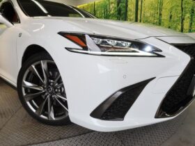 
									Lexus ES F Sport Pearl White 2020′ 9MDJM full								
