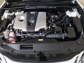 
									Lexus ES F Sport Pearl White 2020′ 9MDJM full								