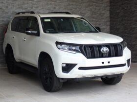 
									TOYOTA Land Cruiser Prado TX L Packet Matte Black Ed Pearl White 2023′ 9OANA full								