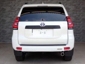 
									TOYOTA Land Cruiser Prado TX L Packet Matte Black Ed Pearl White 2023′ 9OANA full								
