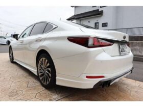 
									Lexus ES Graceful Escort Pearl White 2023′ 9SUD4 full								