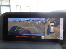 
									TOYOTA Land Cruiser Wagon VX Black 2024′ 9UQ75 full								
