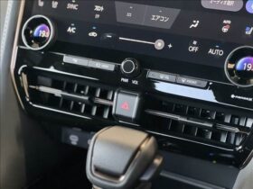 
									TOYOTA Alphard Z Black 2024′ A5S88 full								