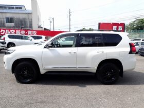 
									TOYOTA Land Cruiser Prado TX L Packet Matte Black Ed Pearl White 2022′ A7L45 full								