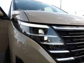 
									NISSAN Serena e-4ORCE Highway Star V Beige 2024′ A7Y6V full								