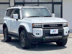 
									TOYOTA Land Cruiser Wagon VX Pearl White 2025′ AC3NX full								