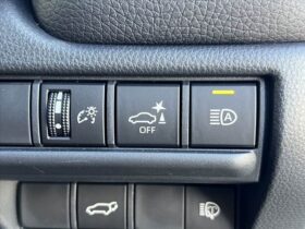 
									TOYOTA Land Cruiser Wagon VX First ED SR  All-Round   Safe Beige 2024′ AC7M5 full								
