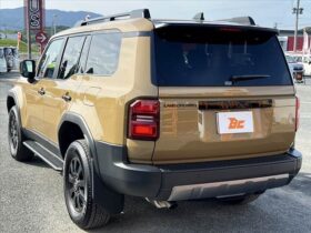 
									TOYOTA Land Cruiser Wagon VX First ED SR  All-Round   Safe Beige 2024′ AC7M5 full								