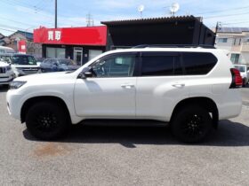 
									TOYOTA Land Cruiser Prado TX L Packet Matte Black Ed Pearl White 2023′ AE0NE full								
