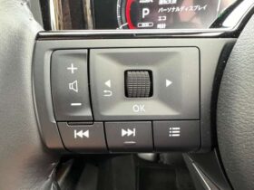 
									NISSAN AURA G FOUR Leather Edition Red 2024′ AR5FB full								
