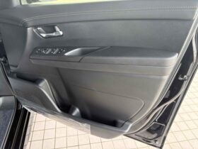 
									NISSAN Serena Highway Star V 6 Black 2025′ B1LEB full								
