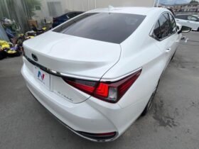 
									Lexus ES 300h version L White 2023′ B1TL2 full								