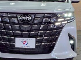 
									TOYOTA Alphard Z Pearl White 2024′ B43CN full								
