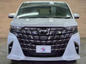
									TOYOTA Alphard Z Pearl White 2024′ B43CN full								
