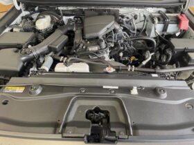 
									TOYOTA Land Cruiser Wagon VX First Edition Pearl White 2024′ B63HJ full								