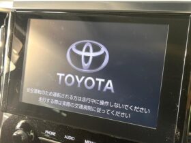 
									TOYOTA Alphard S C Package Black 2022′ BCJO5 full								