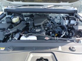 
									TOYOTA Land Cruiser Wagon VX First Edition Pearl White 2024′ BEGFO full								