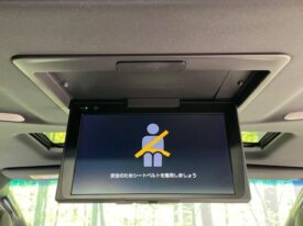 TOYOTA Alphard S Type Gold Pearl White 2020′ BRJ1Q