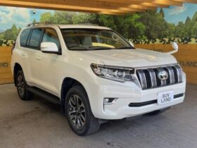
									TOYOTA Land Cruiser Prado TX L Package Pearl White 2023′ C6J51 full								
