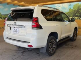 
									TOYOTA Land Cruiser Prado TX L Package Pearl White 2023′ C6J51 full								