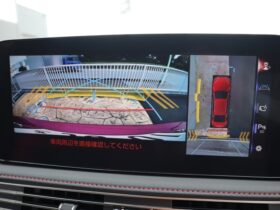 
									Lexus LS F Sport Red 2021′ CATOC full								
