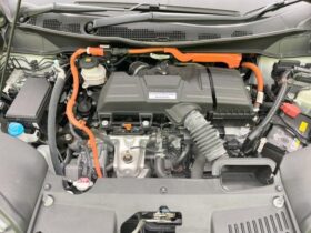 
									Honda Odyssey Absolute EX Pearl White 2021′ CCZUP full								