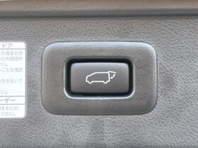 
									TOYOTA Alphard S Type Gold Pearl White 2020′ CF4AK full								