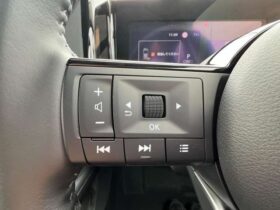 
									NISSAN Note X FOUR Blue 2024′ CH9WV full								