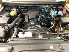 
									TOYOTA Land Cruiser Wagon VX First Edition Beige 2024′ CLJQJ full								