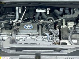 
									TOYOTA Noah S-Z Black 2023′ CLJX2 full								