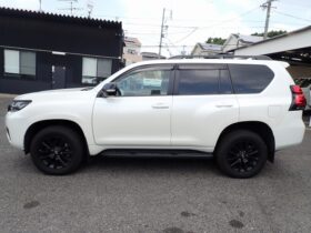 
									TOYOTA Land Cruiser Prado TX L Packet Matte Black Ed Pearl White 2023′ CNGSV full								