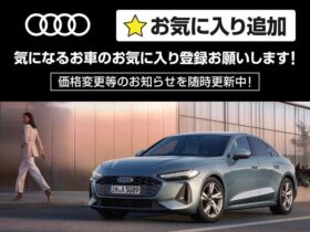 
									Audi TT 2.0TFSI Quattro S-Line Packet Gray 2019′ CQOCM full								