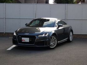 
									Audi TT 2.0TFSI Quattro S-Line Packet Gray 2019′ CQOCM full								