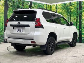 
									TOYOTA Land Cruiser Prado TX L Packet Matte Black Ed Pearl White 2023′ CRZHI full								